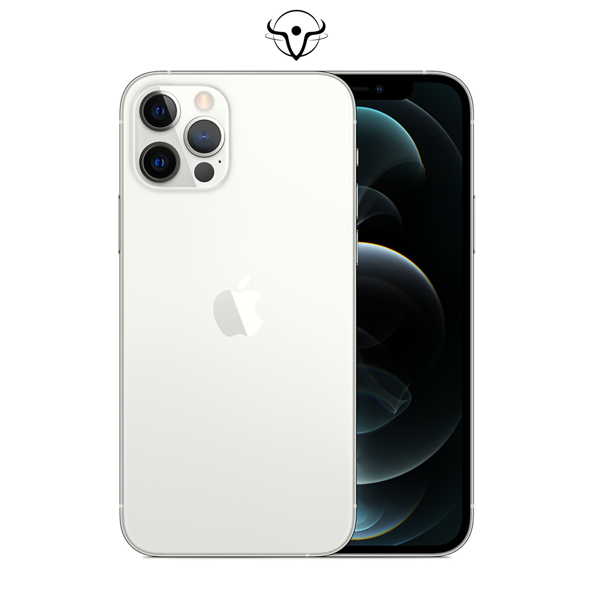 iPhone 12 Pro Argento - Vanuzzo