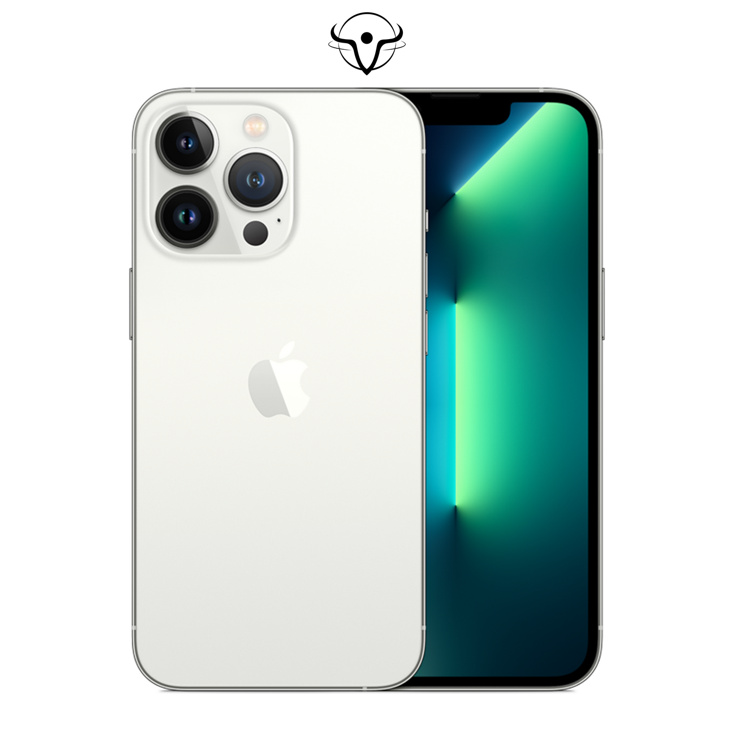 iPhone 13 Pro Argento - Vanuzzo