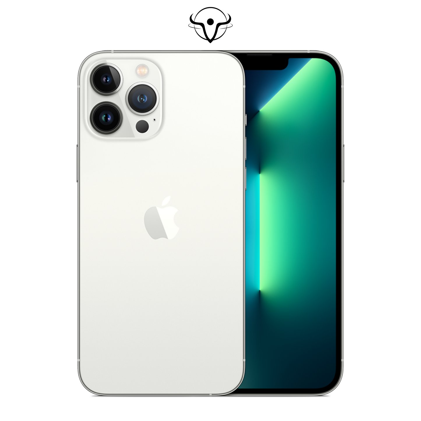 iPhone 13 Pro Max Argento - Vanuzzo