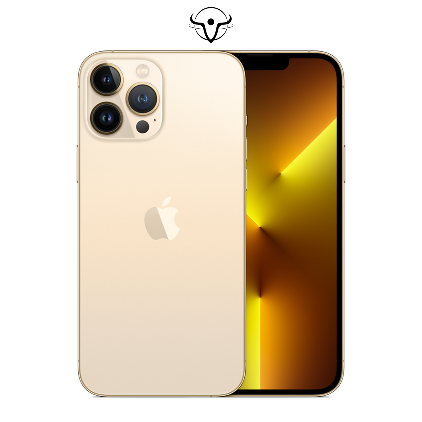 iPhone 13 Pro Max Oro - Vanuzzo