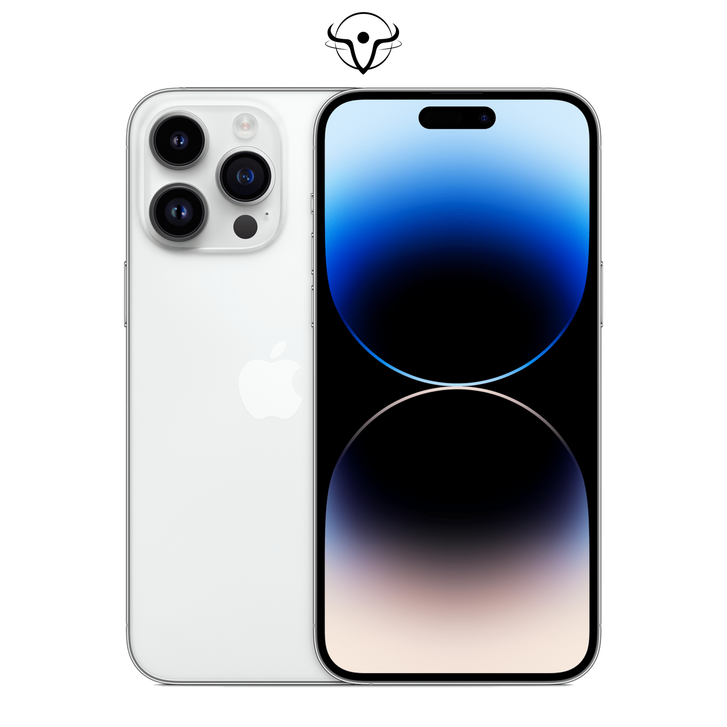 iPhone 14 Pro Max Argento - Vanuzzo