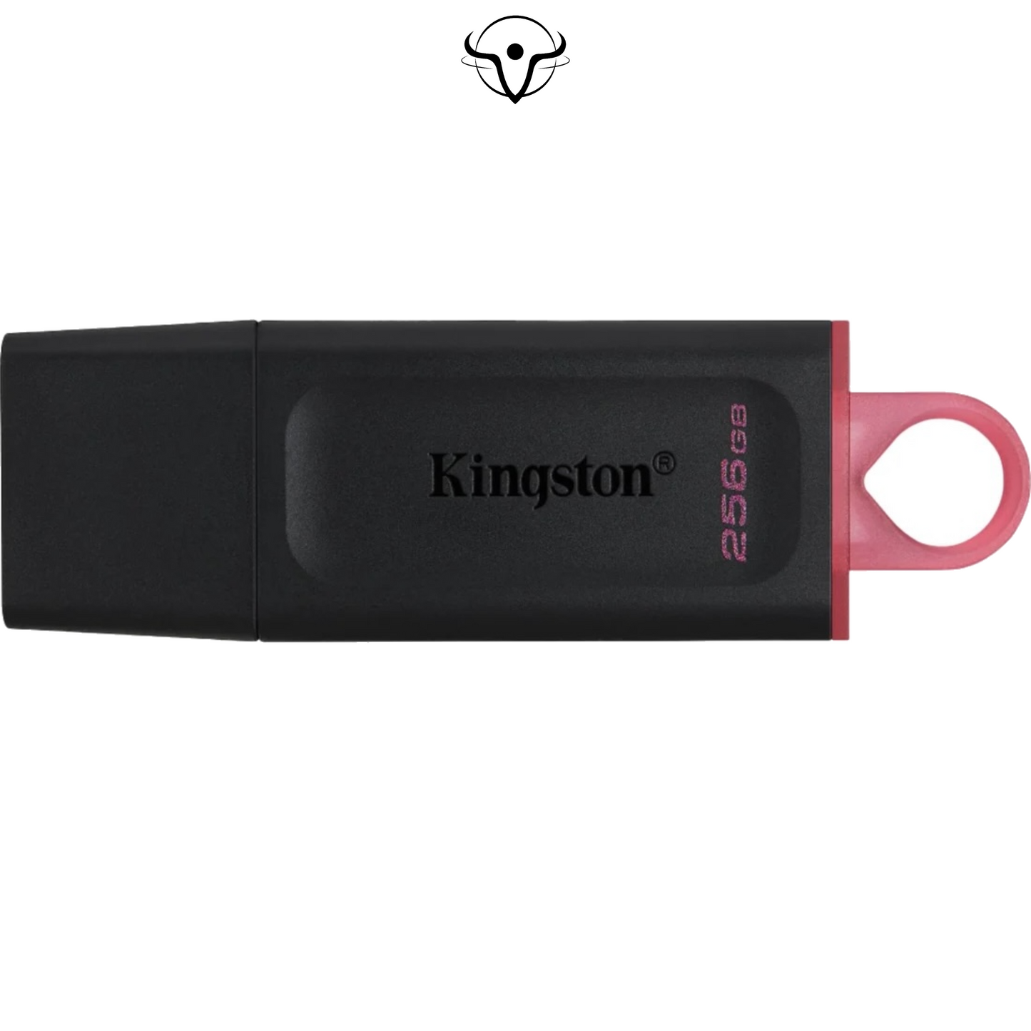 Kingston DataTraveler Exodia USB 3.2